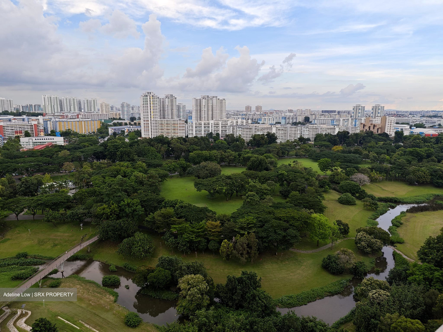 Clover By The Park (D20), Condominium #559124651